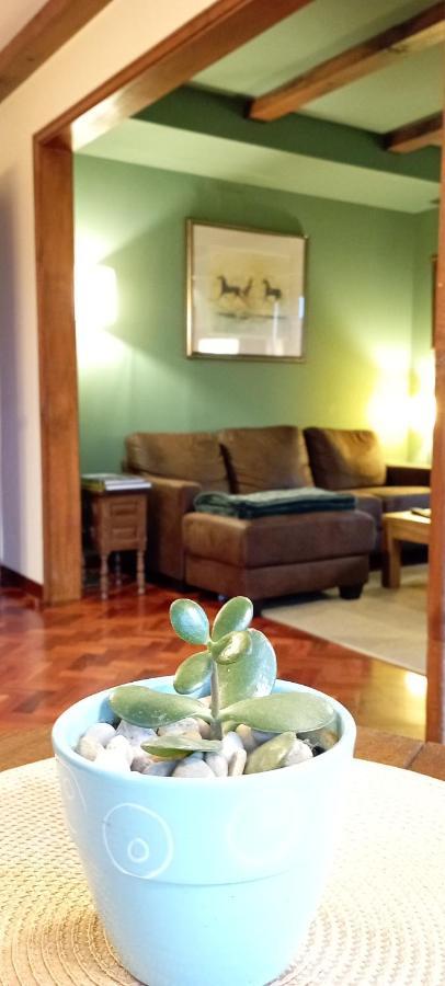 Villa San Martin Mondariz Ngoại thất bức ảnh